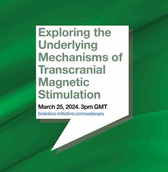 New Webinar on Exploring the Underlying Mechanisms of Transcranial Magnetic Stimulation
