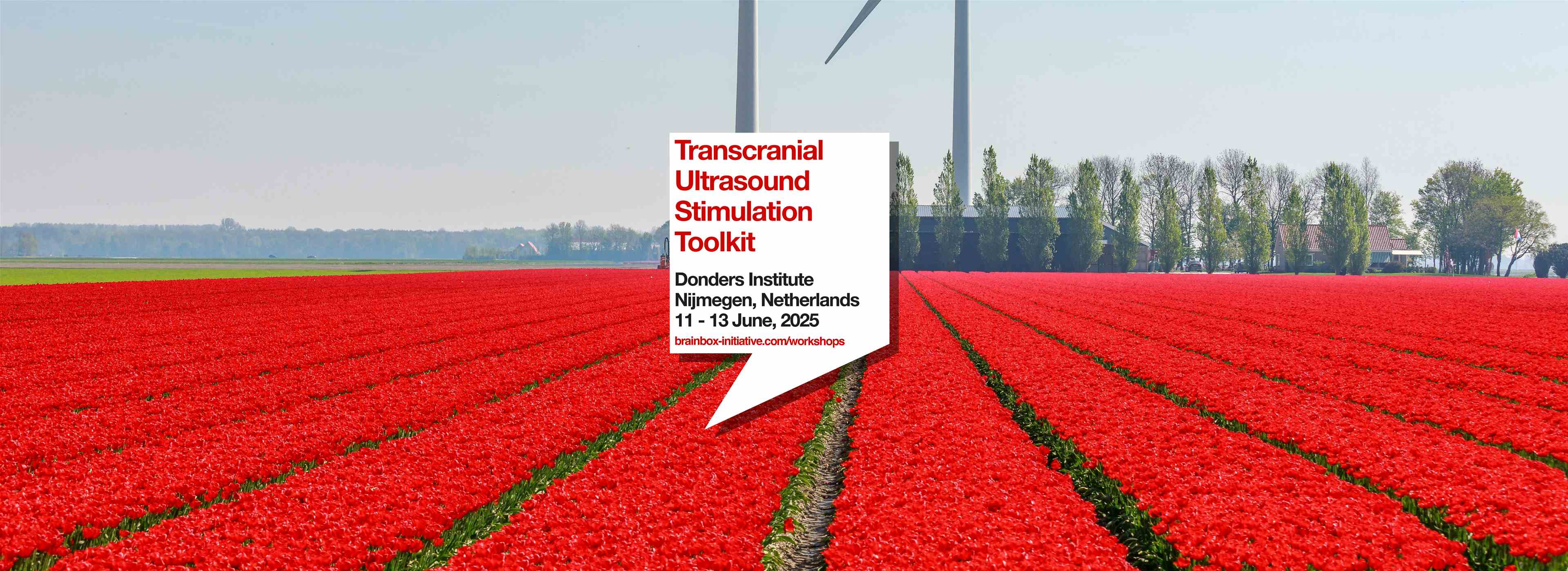 Transcranial Ultrasound Stimulation Toolkit