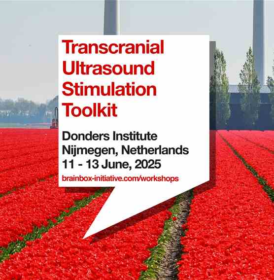 Transcranial Ultrasound Stimulation Toolkit