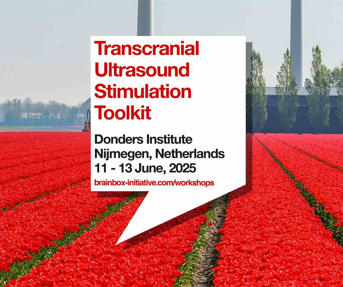 Transcranial Ultrasound Stimulation Toolkit