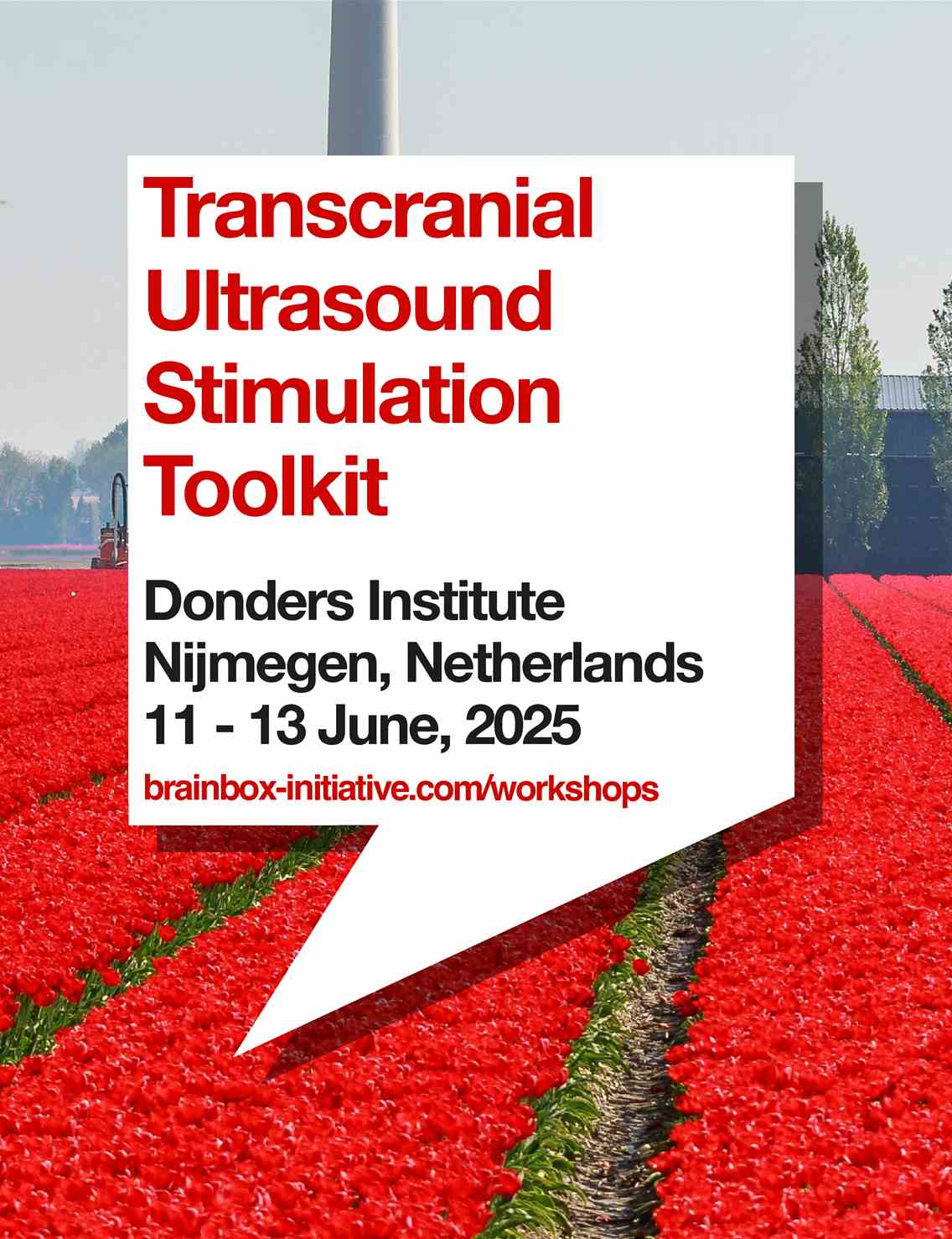 Transcranial Ultrasound Stimulation Toolkit