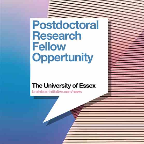 Postdoctoral Research Fellow Opportunity at the University of Essex