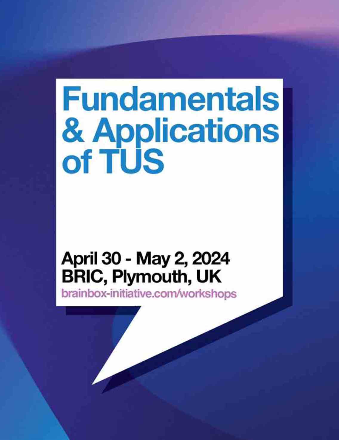 Transcranial Ultrasound Stimulation Workshop in Plymouth