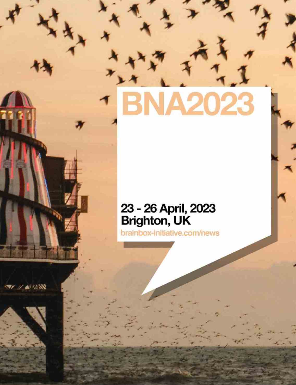 BNA2023 International Festival of Neuroscience