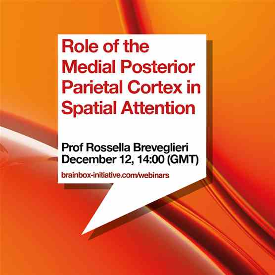 Brainbox Initiative Webinar: Role of the Medial Posterior Parietal Cortex in Spatial Attention