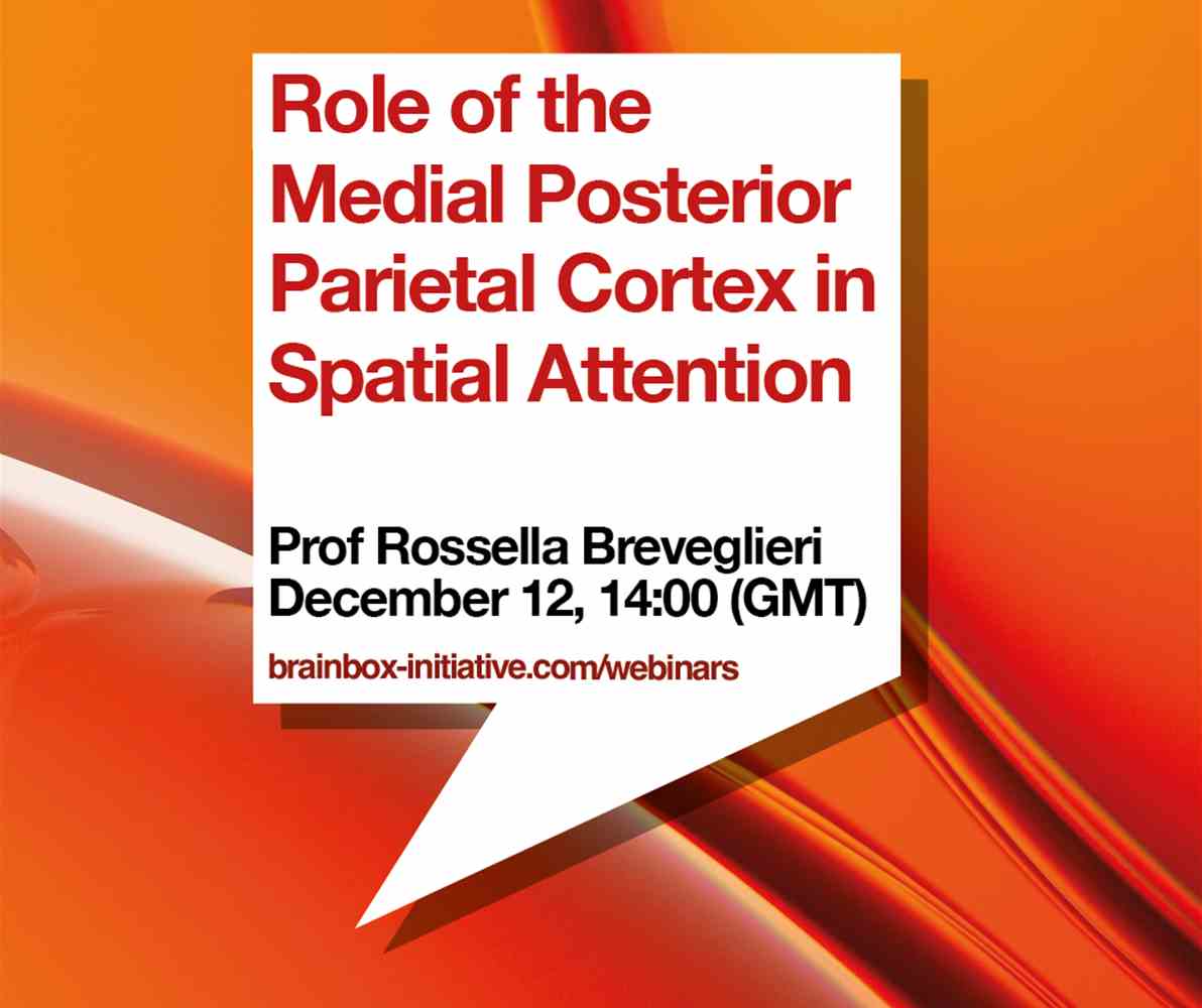 New Webinar: Role of the Medial Posterior Parietal Cortex in Spatial Attention