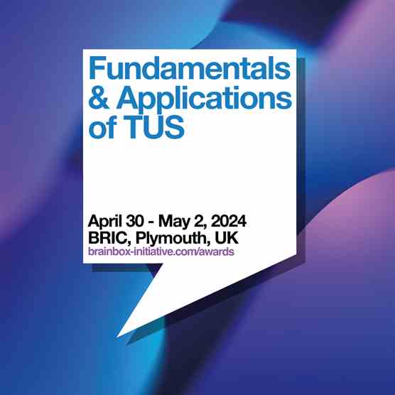 Transcranial Ultrasound Stimulation Workshop in Plymouth