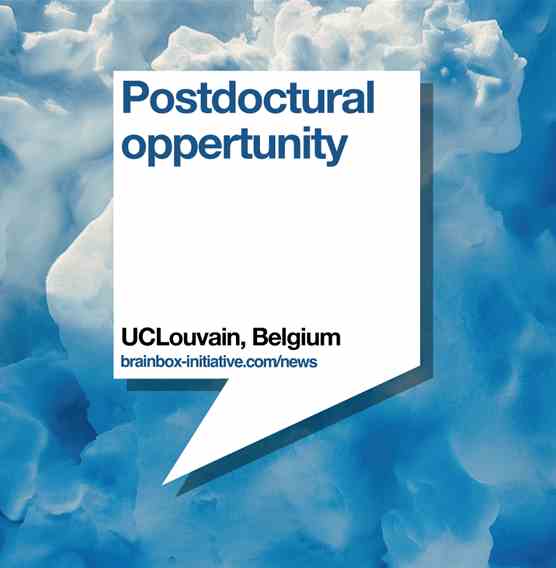 Postdoctoral Opportunity - UCLouvain