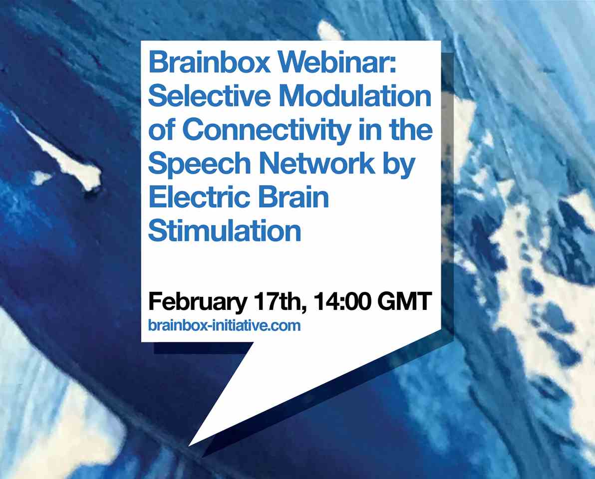 Selective Modulation of Connectivity in the Speech Network by Electric Brain Stimulation, 17 February 2021