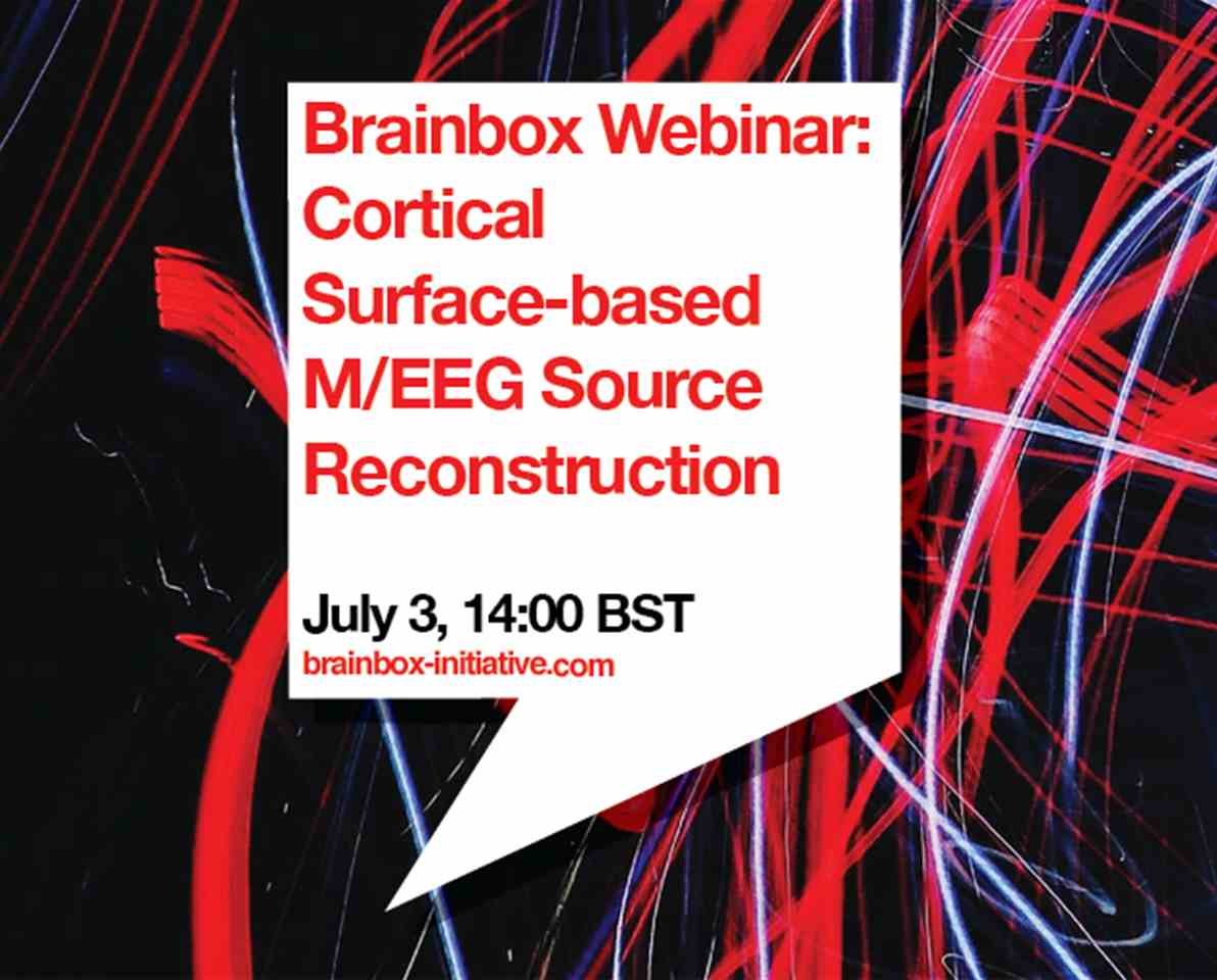 Cortical Surface-based M/EEG Source Reconstruction, 3 July 2020