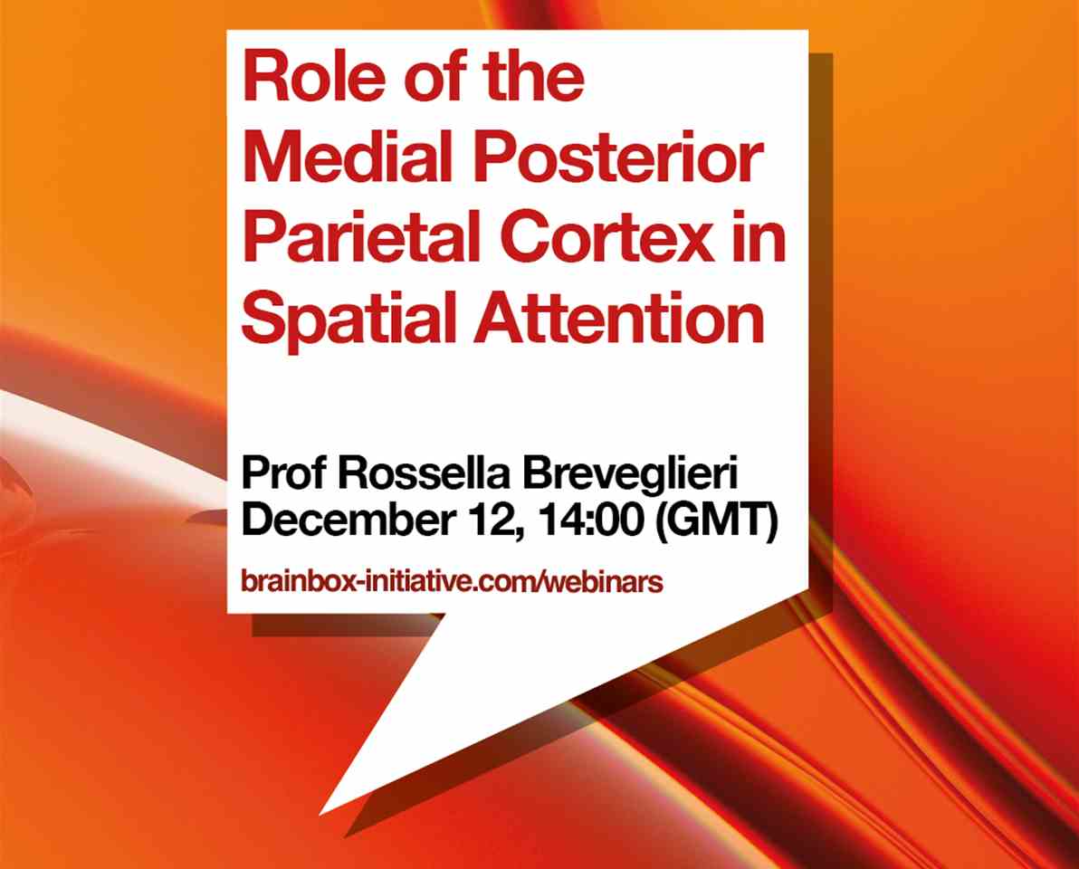 Role of the Medial Posterior Parietal Cortex in Spatial Attention