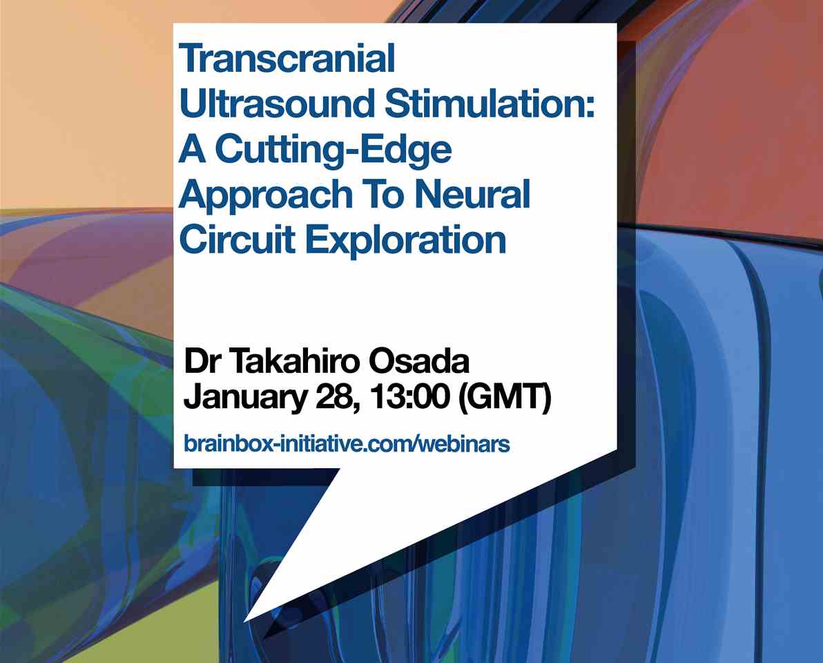 Transcranial Ultrasound Stimulation: A Cutting-Edge Approach To Neural Circuit Exploration, 28 January 2025