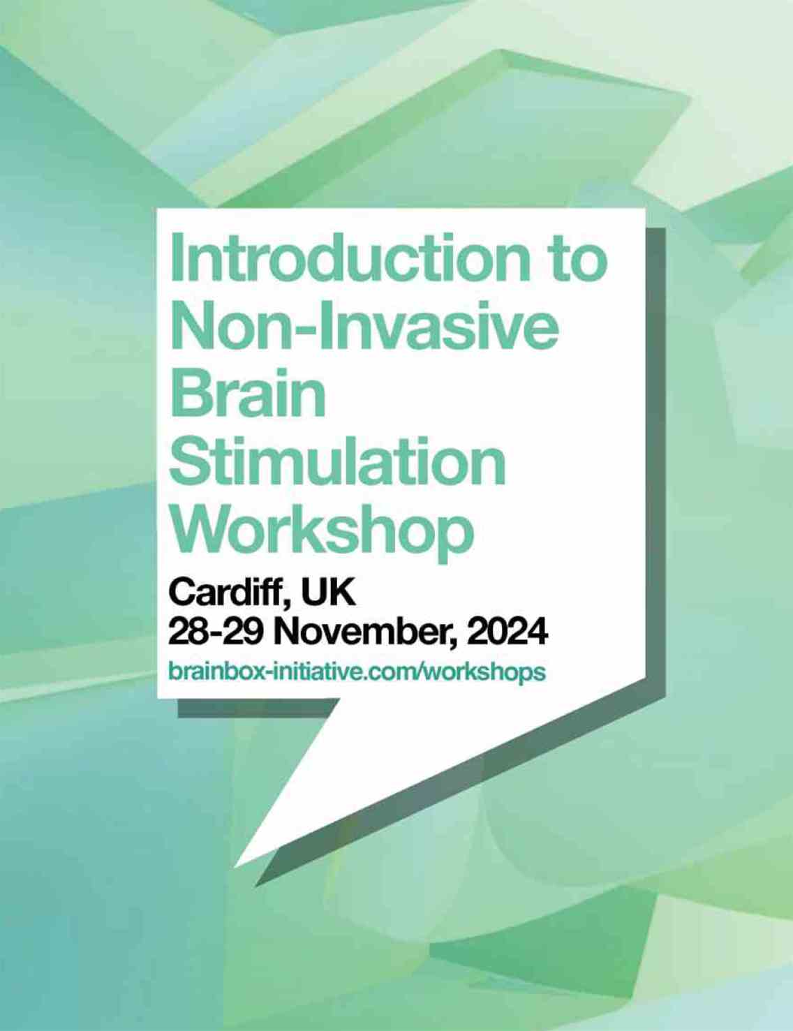 Introduction to Non-Invasive Brain Stimulation