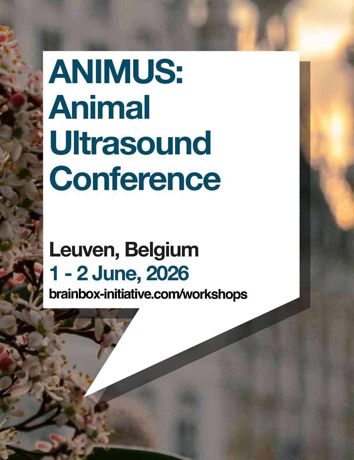 ANIMUS: Animal Ultrasound Conference