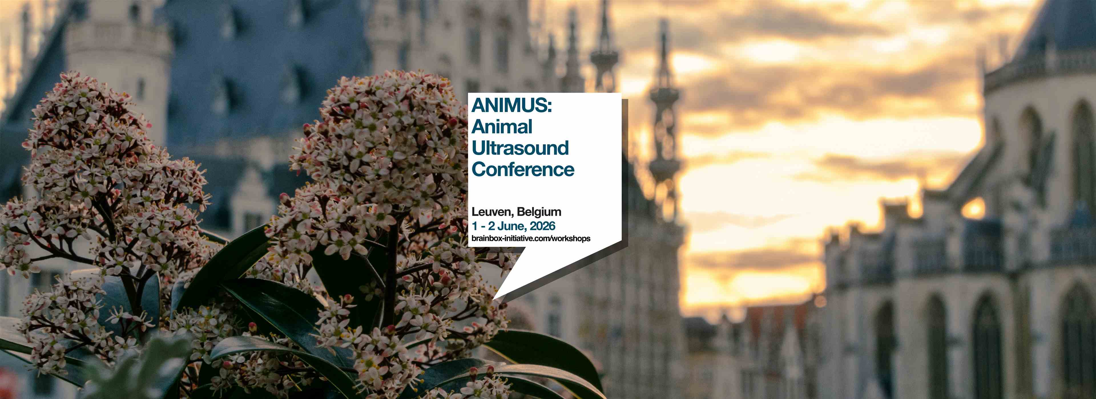 ANIMUS: Animal Ultrasound Conference