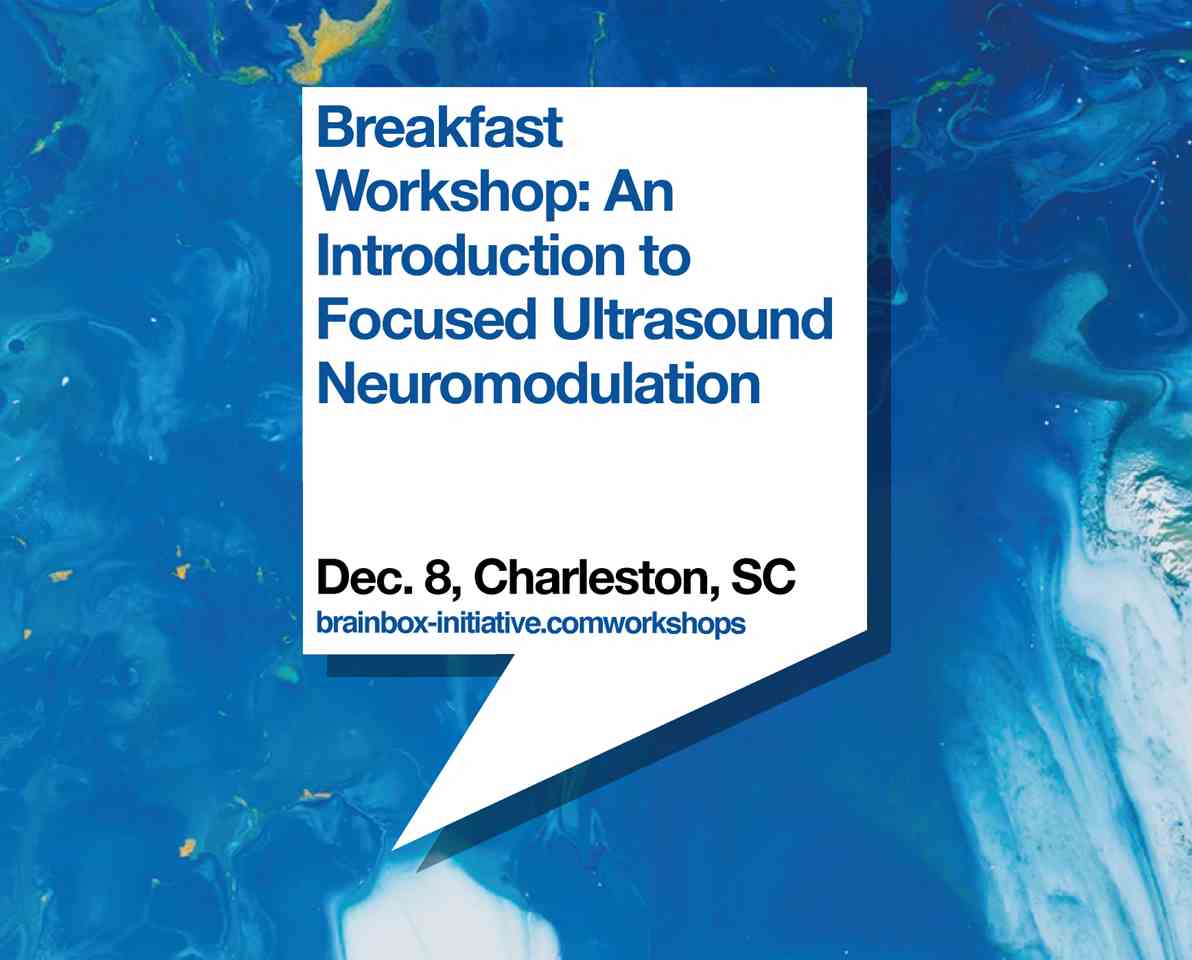 Breakfast Workshop: An Introduction to Focused Ultrasound Neuromodulation