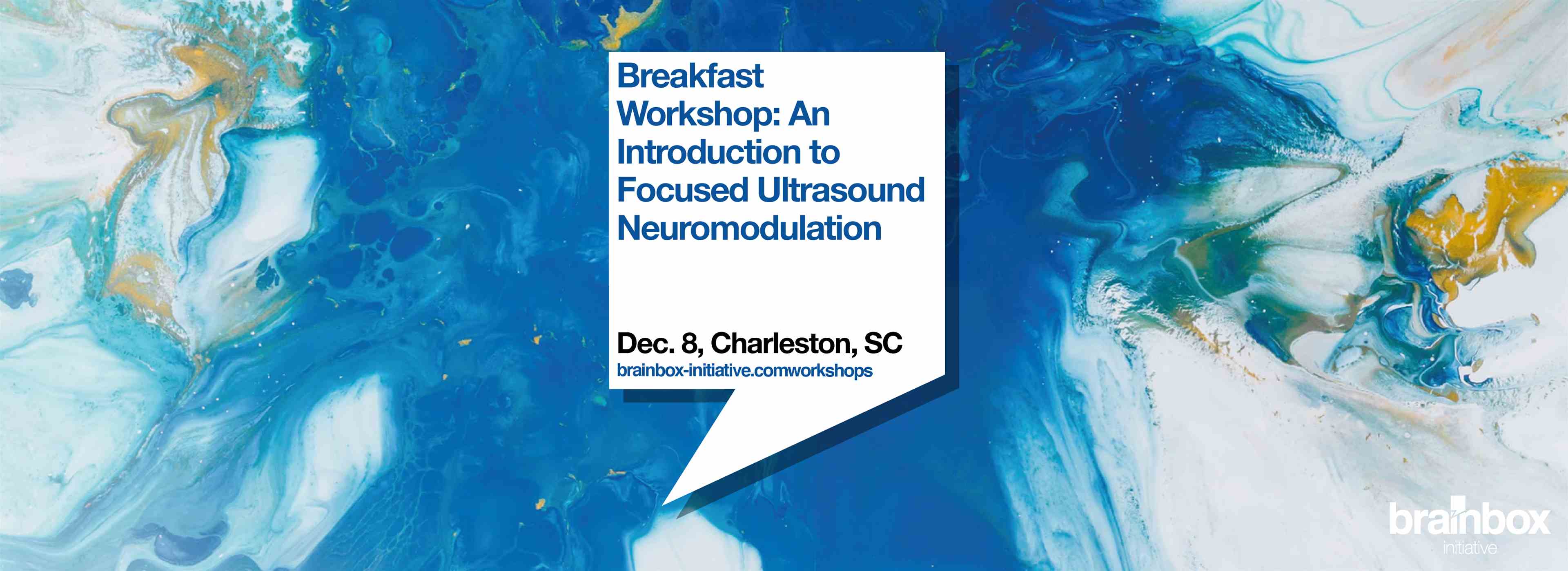Breakfast Workshop: An Introduction to Focused Ultrasound Neuromodulation