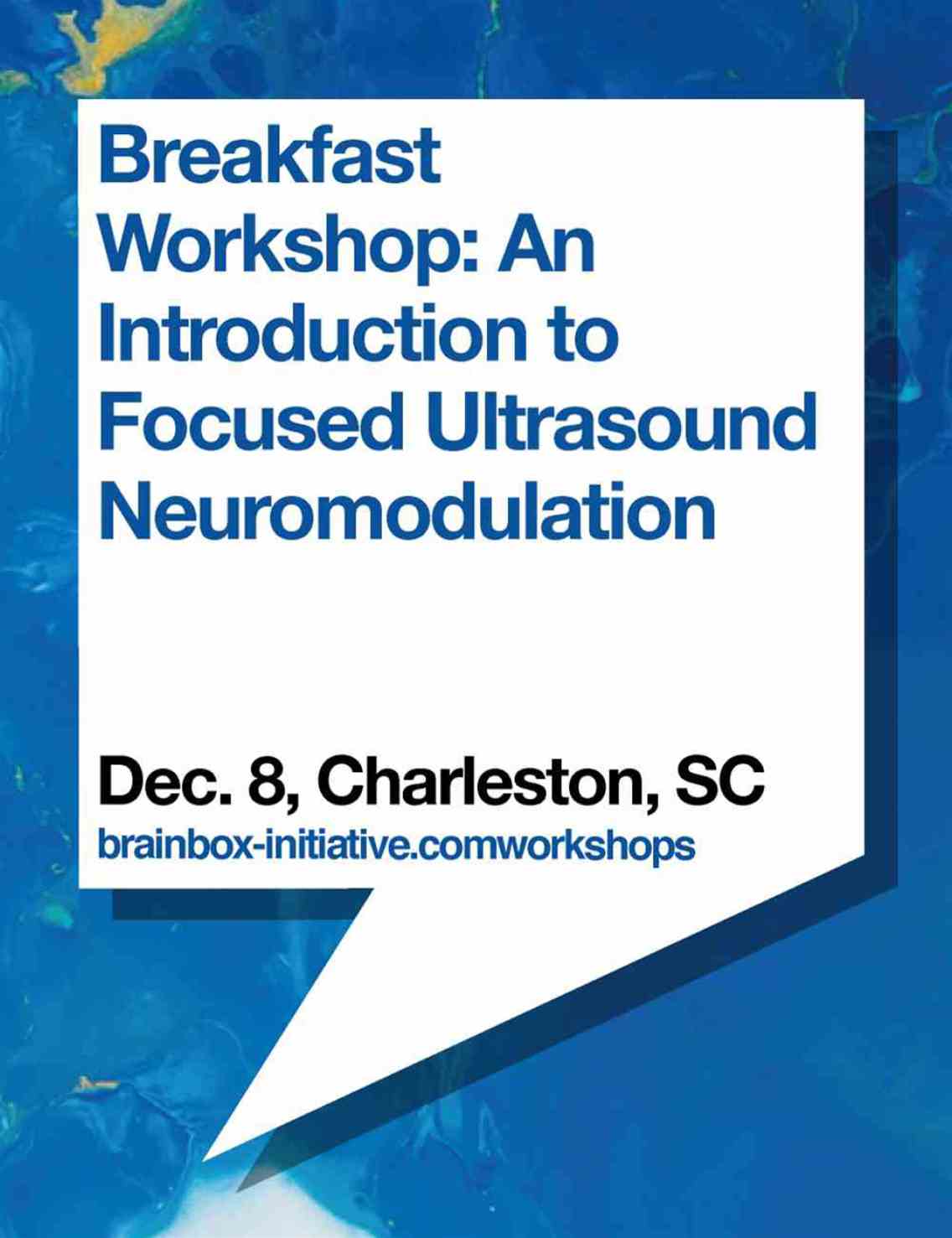 Breakfast Workshop: An Introduction to Focused Ultrasound Neuromodulation