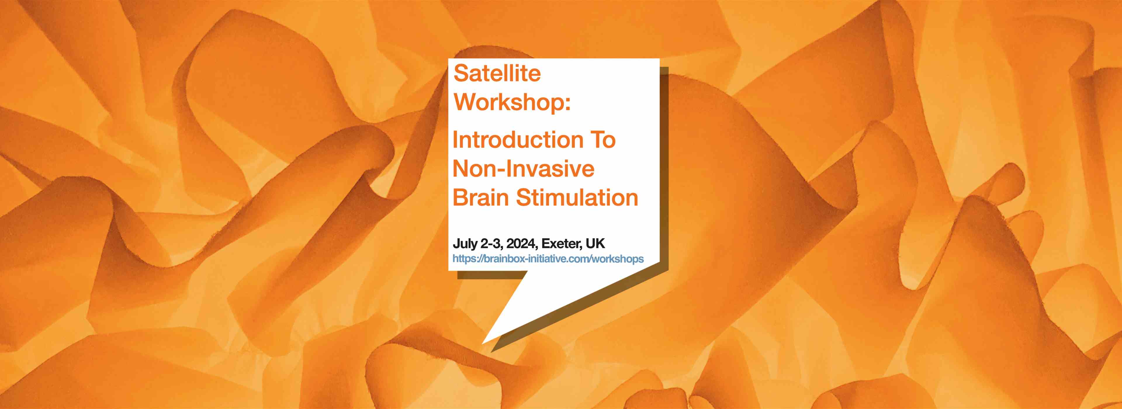 Satellite Workshop: Introduction to Non-Invasive Brain Stimulation