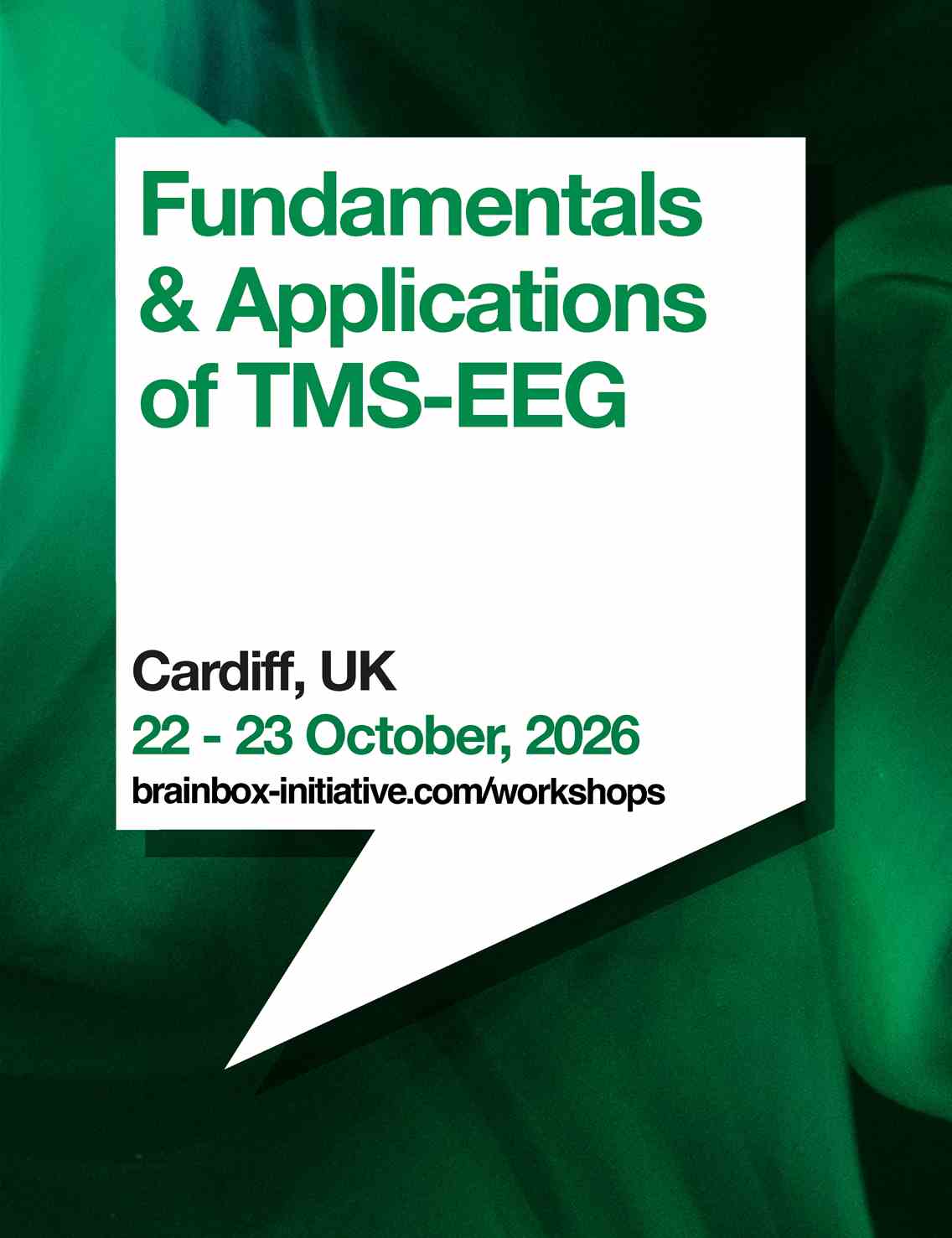 Fundamentals & Applications of TMS-EEG | Cardiff