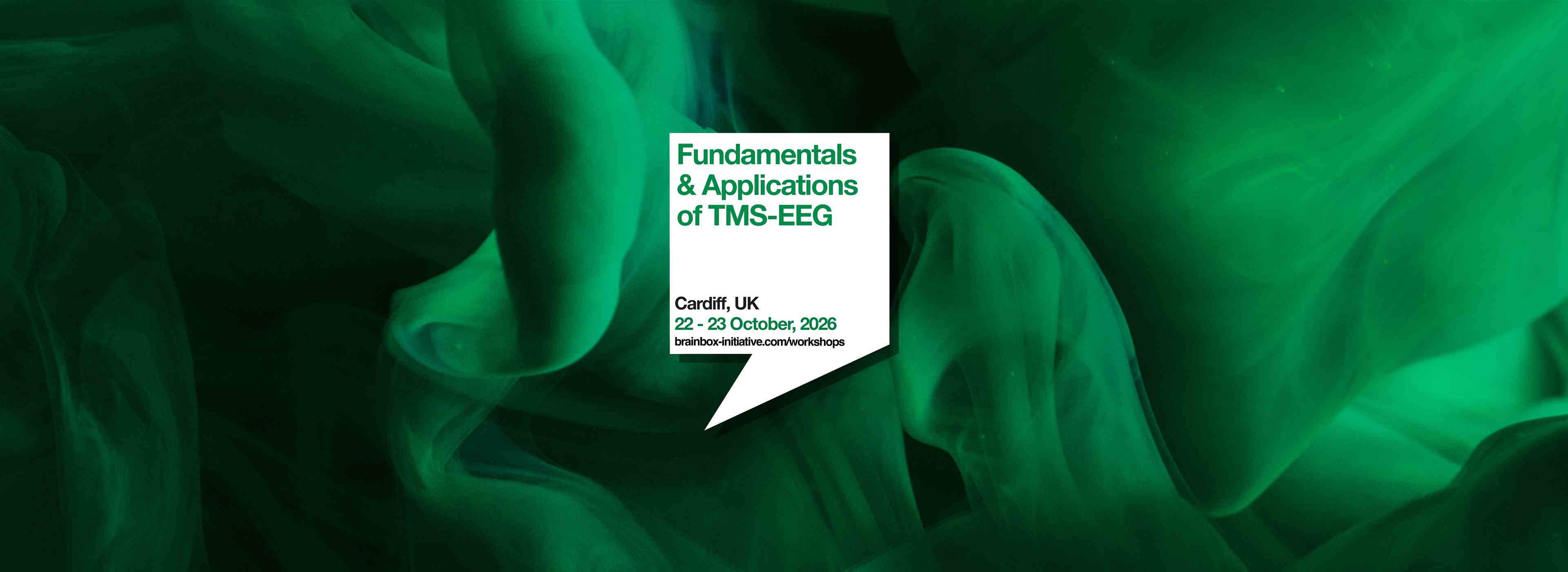 Fundamentals & Applications of TMS-EEG | Cardiff