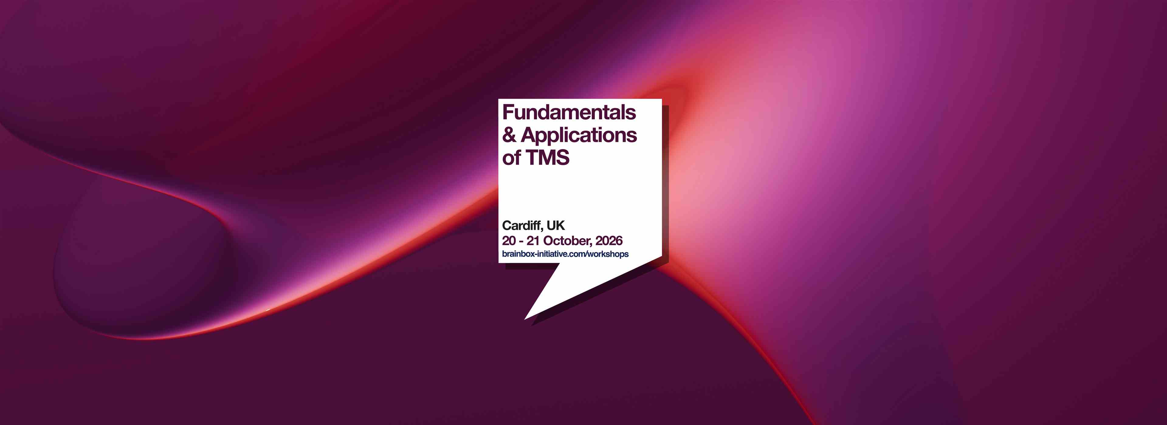 Fundamentals & Applications of TMS | Cardiff