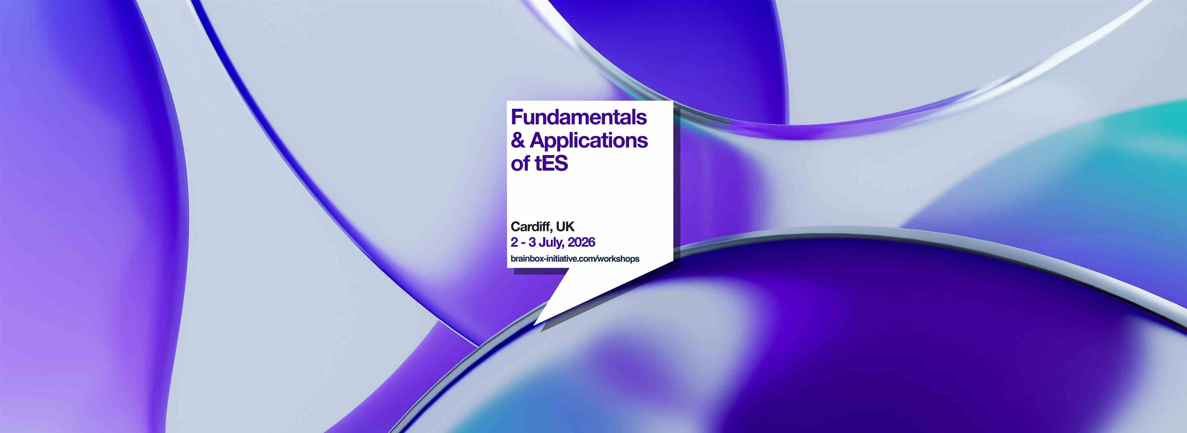 Fundamentals & Applications of tES | Cardiff