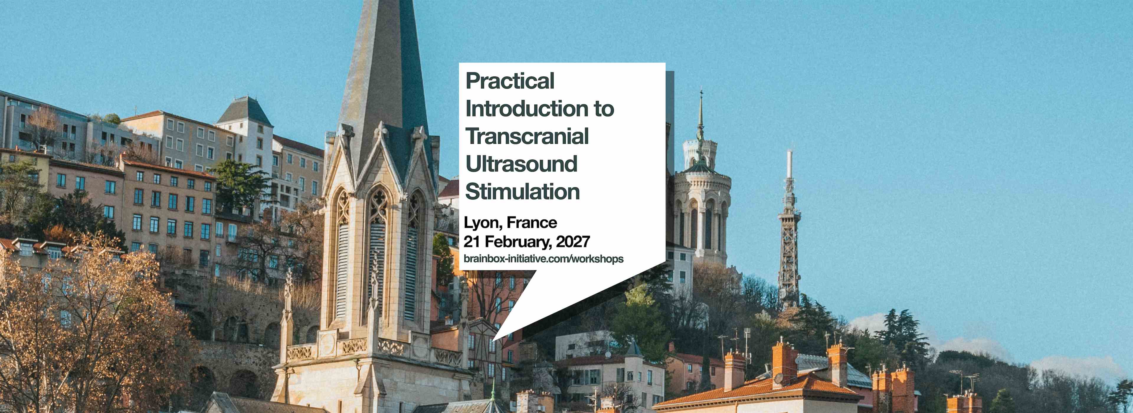 Practical Introduction to Transcranial Ultrasound Stimulation | Lyon