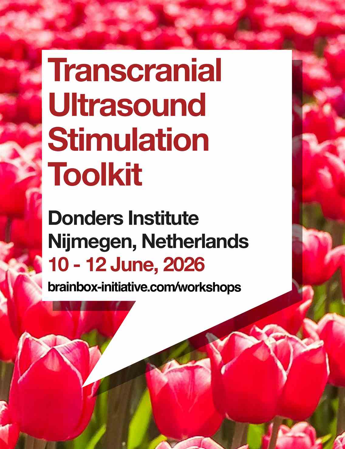 Transcranial Ultrasound Stimulation Toolkit | Nijmegen