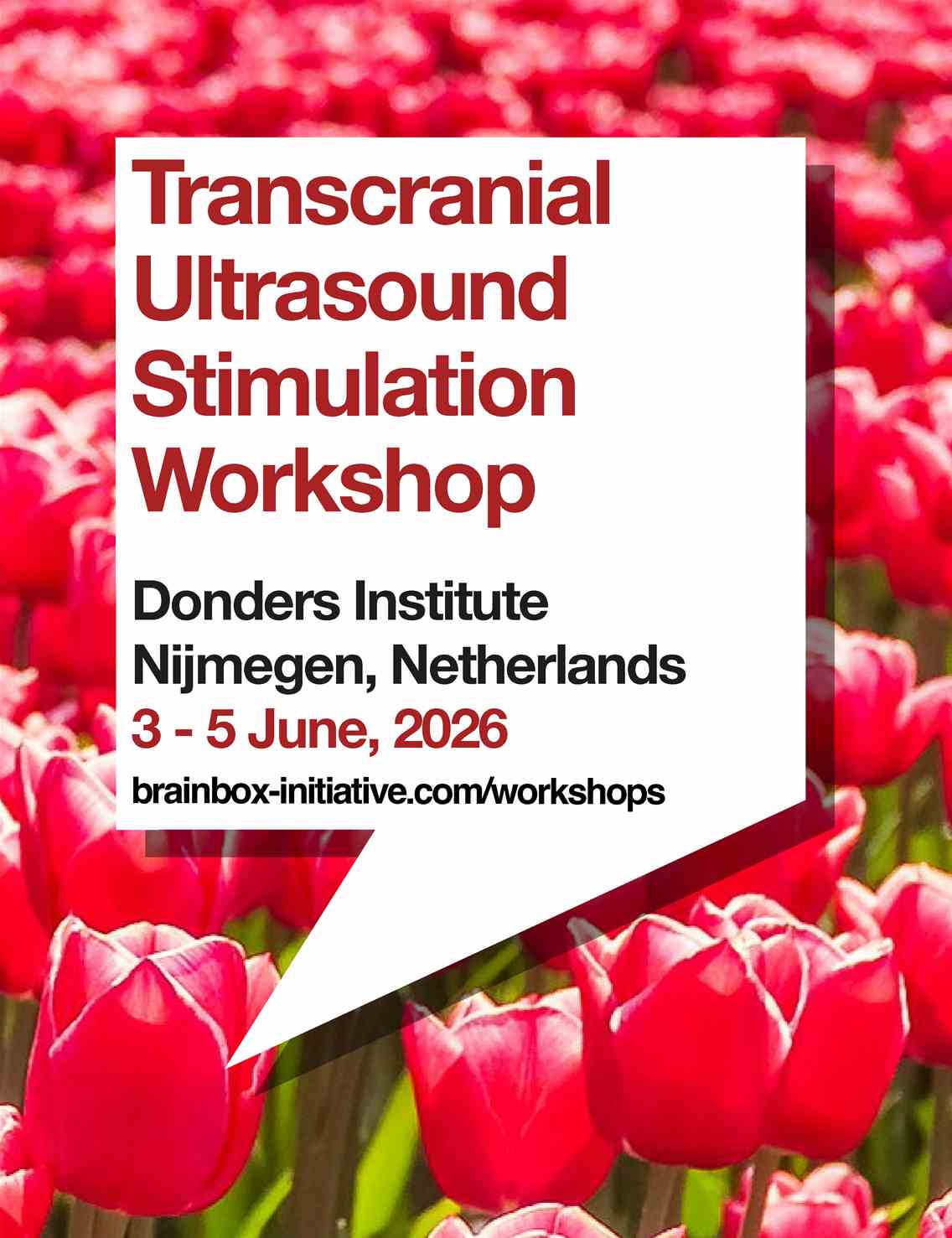 Transcranial Ultrasound Stimulation Workshop | Nijmegen