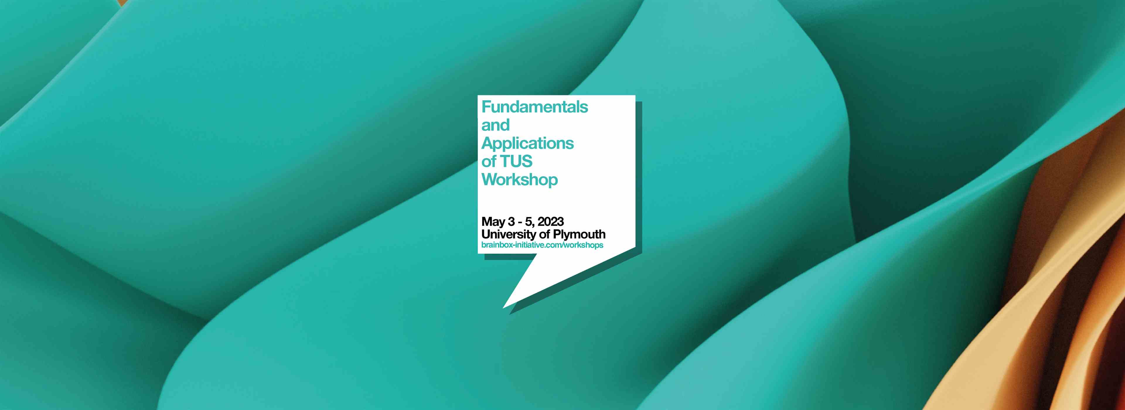 Fundamentals & Applications of TUS