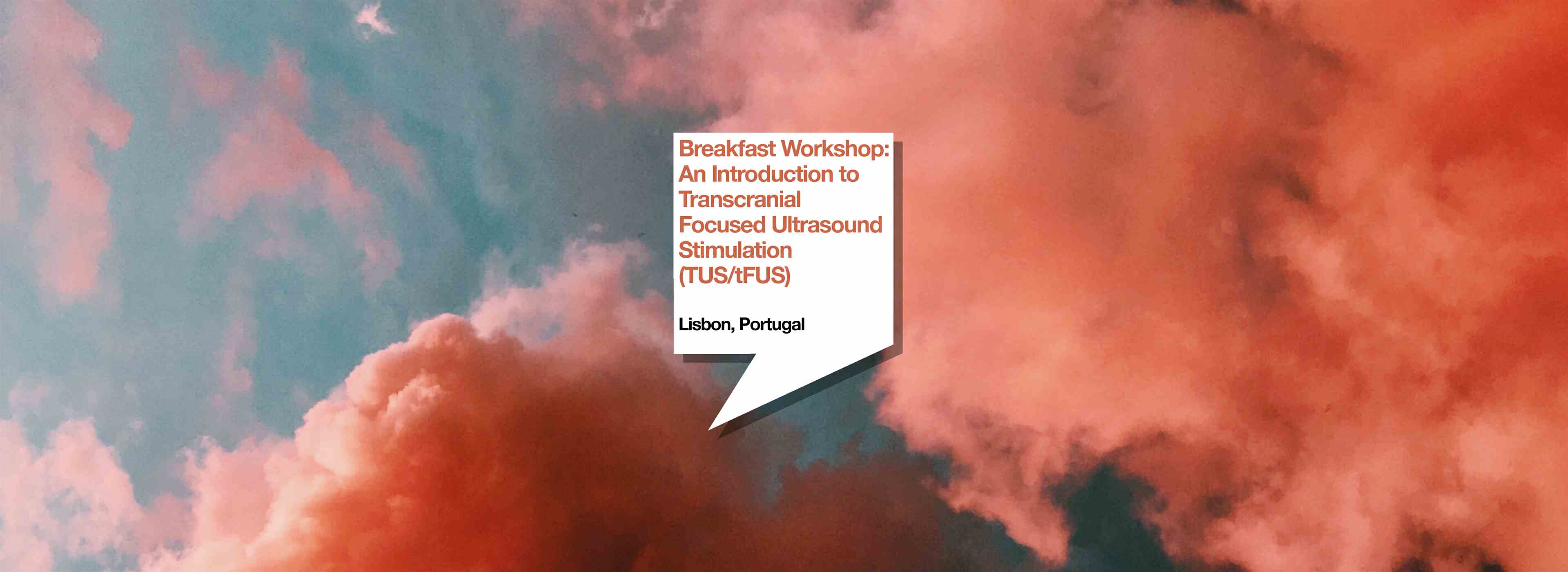 Breakfast Workshop: An Introduction to Transcranial Focused Ultrasound