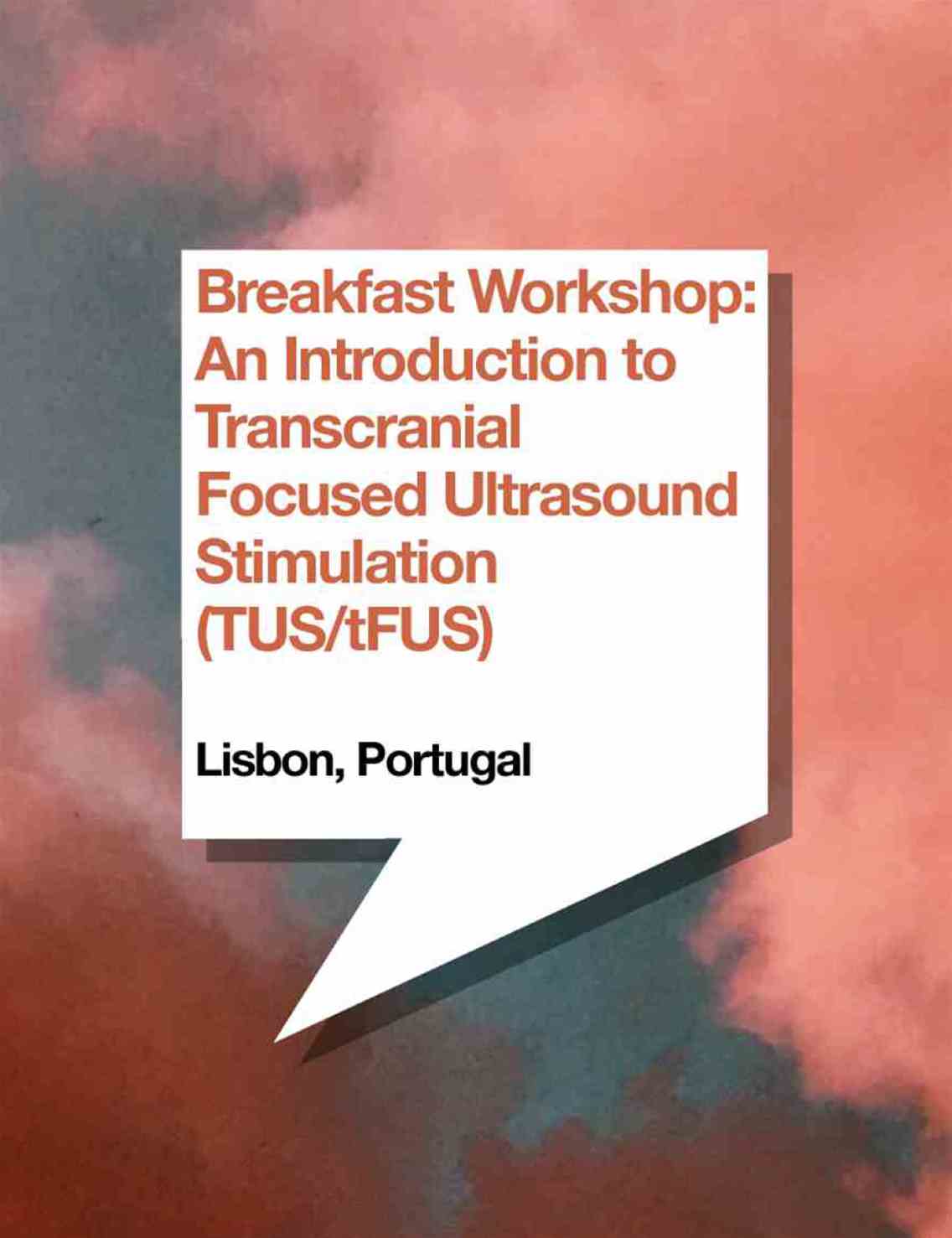 Breakfast Workshop: An Introduction to Transcranial Focused Ultrasound