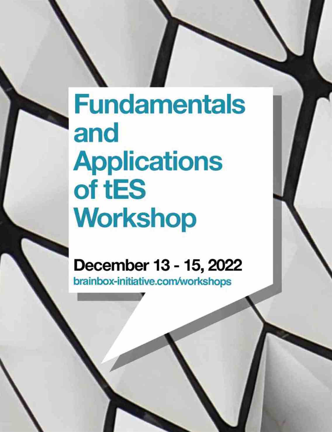 Fundamentals & Applications of tES